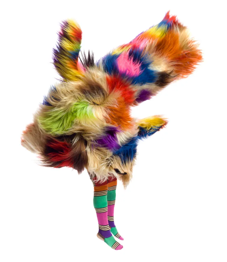 Persona con traje de peluche multicolor y calcetas a rayas