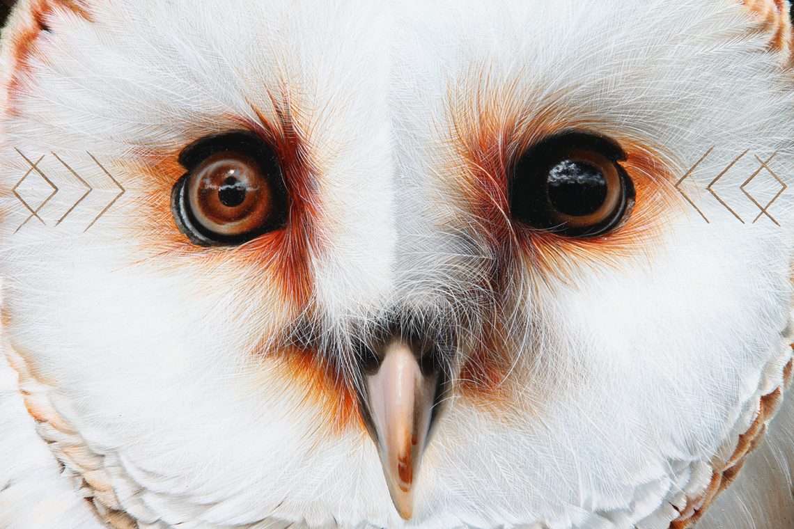 owleyescloseup-1140x760
