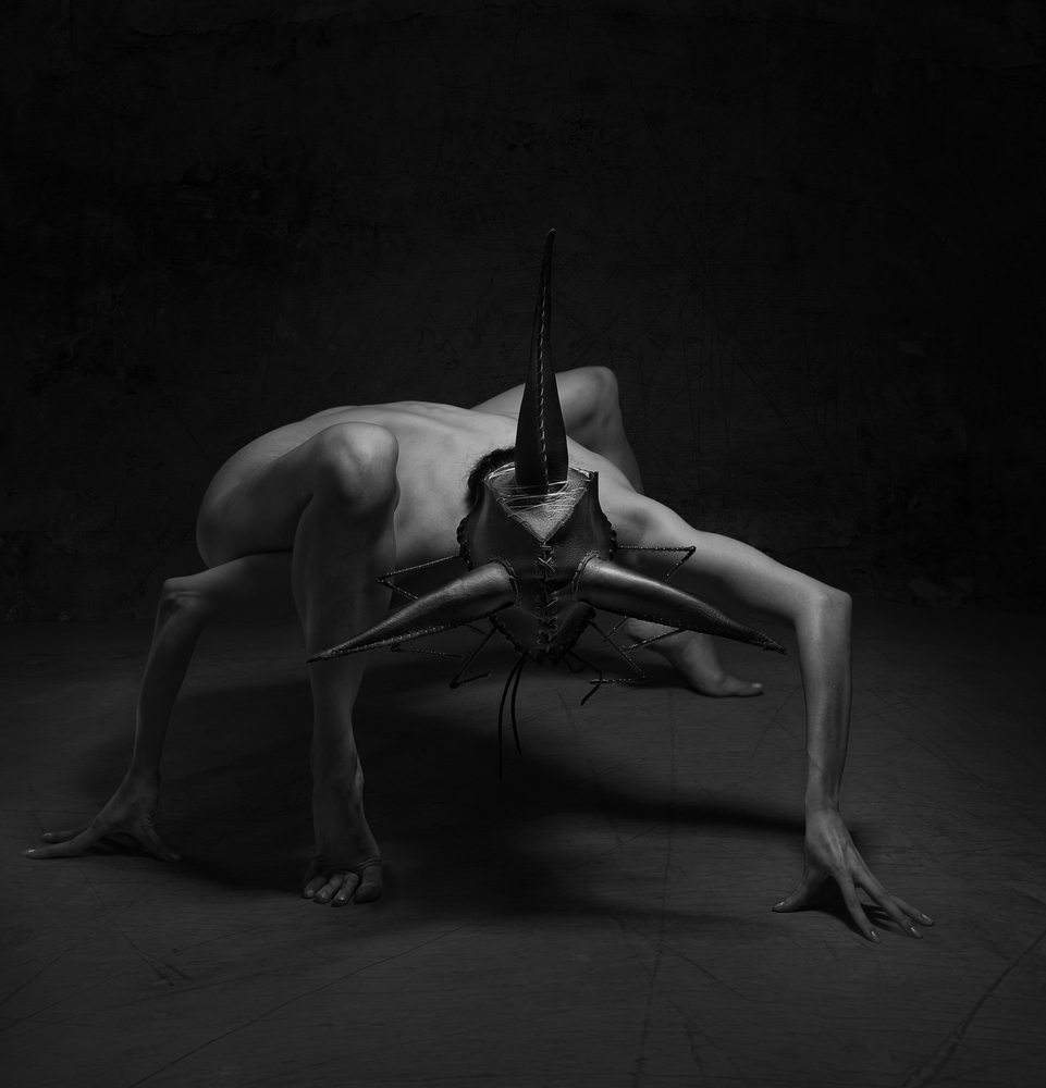 christian-martin-weiss-insect