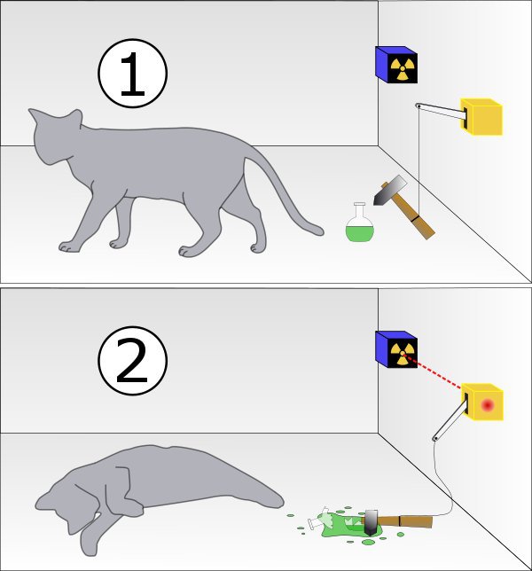 gato-schrodinger-abierta