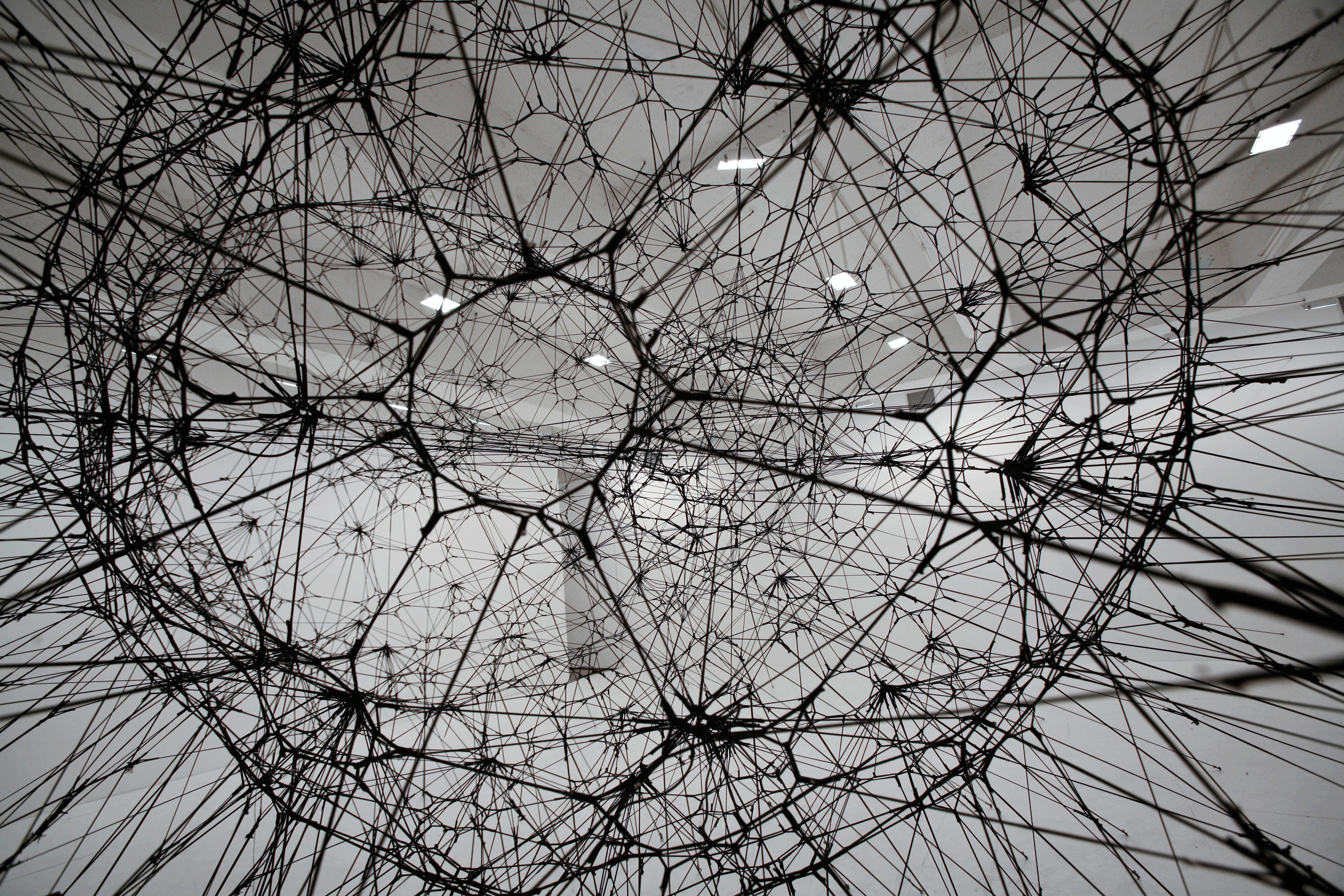 039-tomas-saraceno-theredlist
