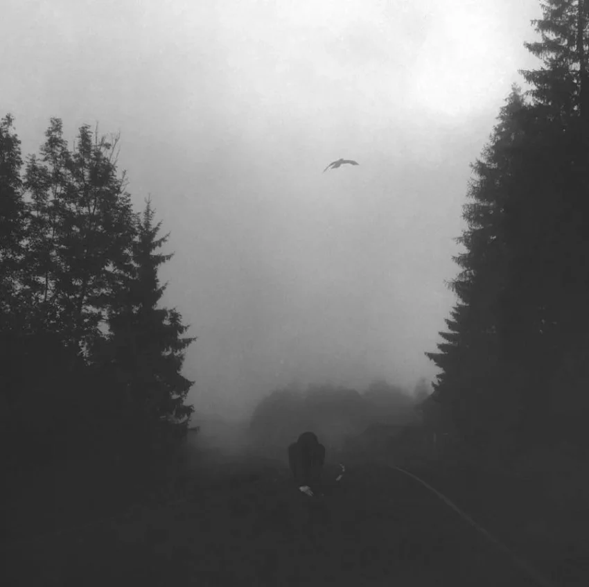 Figura agachada en carretera neblinosa entre árboles, fotografía artística en blanco y negro