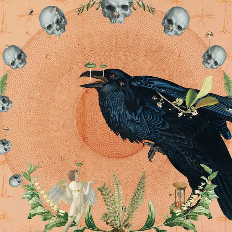 Obra de Amy Salomone: cuervo negro con hongos en el pico, rodeado de calaveras, mandalas, plantas y símbolos de tiempo y transformación.