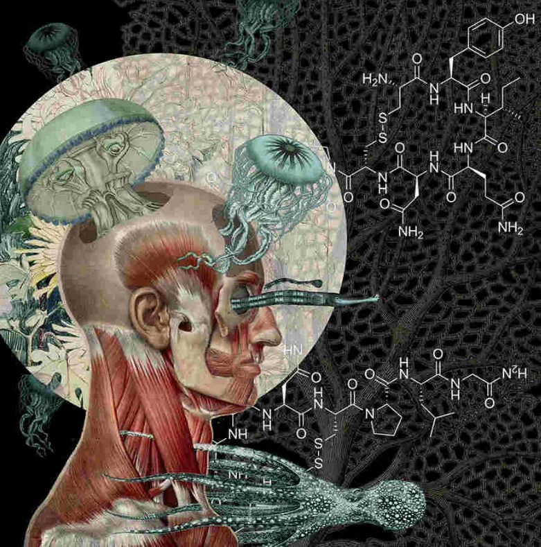 Obra de Amy Salomone: cabeza anatómica con medusas emergentes, estructuras químicas y patrones neuronales-marinos.