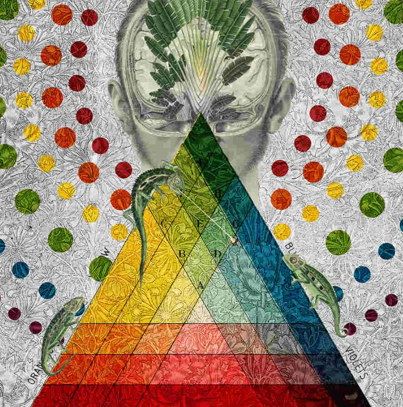 Obra de Amy Salomone: cabeza humana con cerebro vegetal, triángulo cromático, mandalas, lagartos y patrones botánicos.