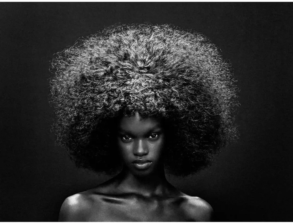 Persona con peinado afro voluminoso, hombros descubiertos y fondo oscuro; retrato artístico que celebra la textura natural del cabello.
