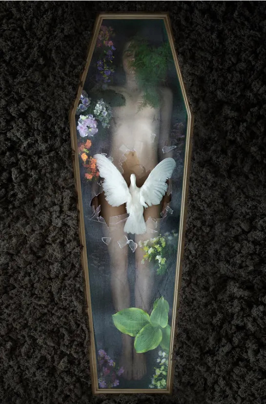"Figura desnuda en ataúd de cristal con flores, hojas y paloma blanca en vuelo"