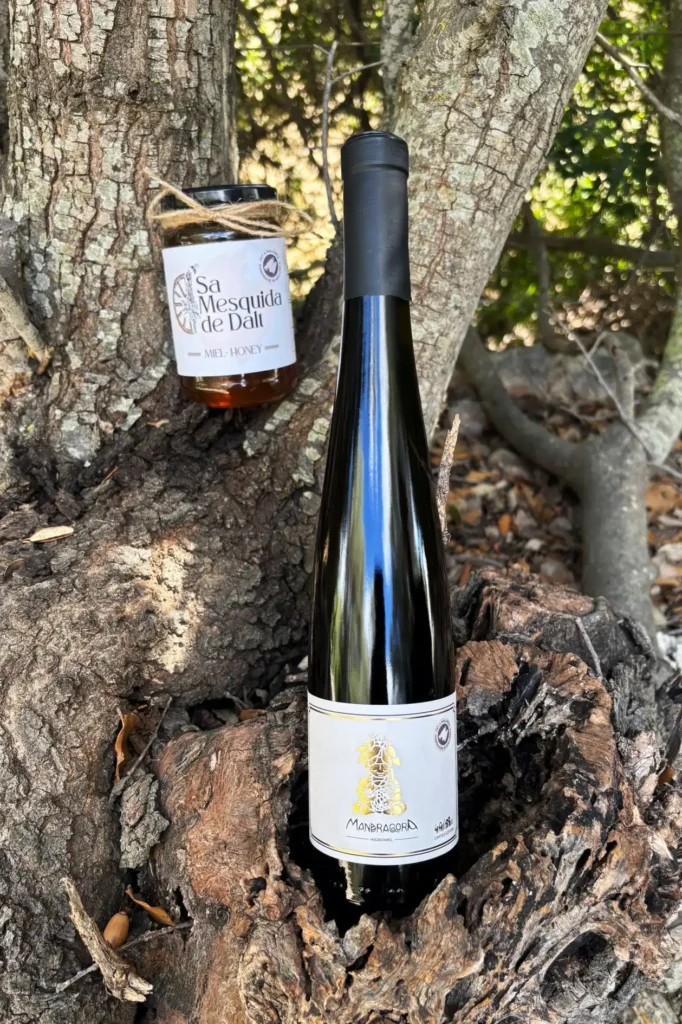 Botella de Mondragóna yHidromel  tarro de miel Sa Mesquida de Dalt sobre tronco en bosque, con estética rústica y otoñal.