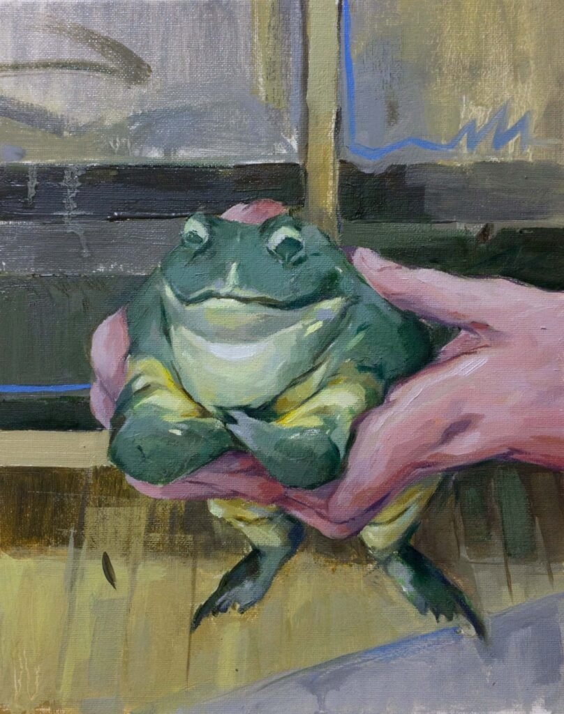 La obra de Seppe de Meyere muestra unas manos sosteniendo una rana verde grandota