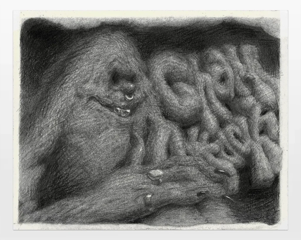 El mundo de Dana Blume está poblado por babosas bañadas por el sol, casas humanoides y desconcertantes bestias azuladas con uñas en forma de garras forman parte de un elenco rotativo de personajes que aparecen.