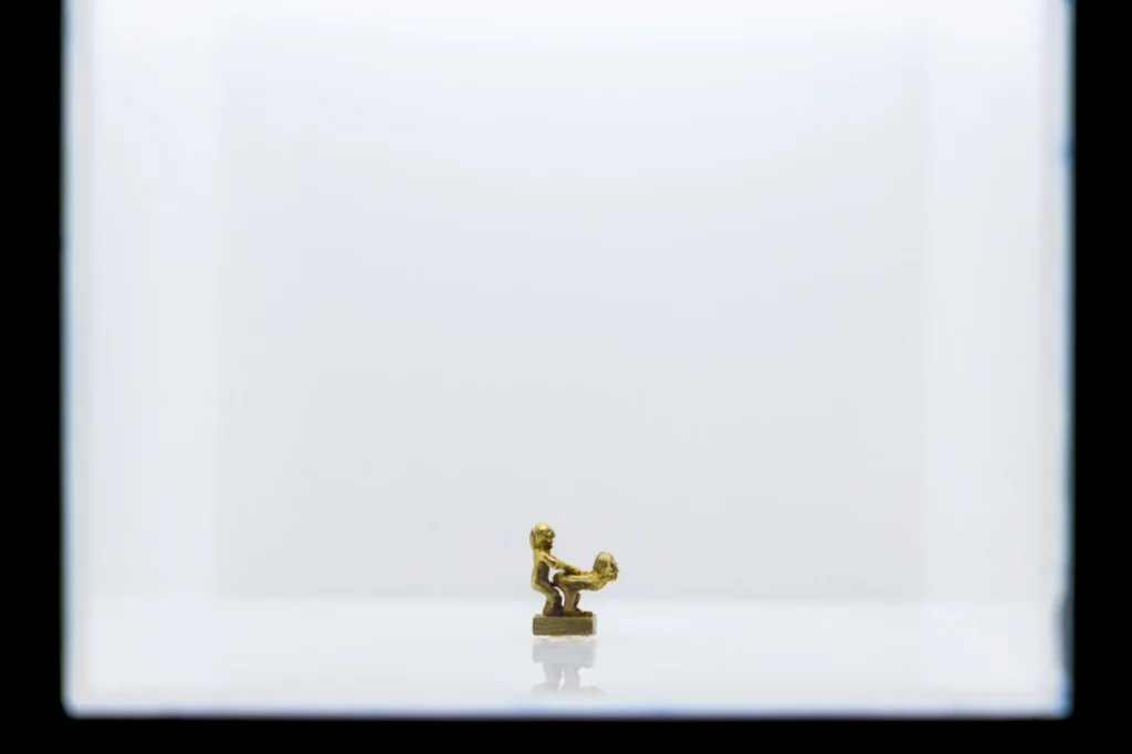 Carlos Motta: Stigmata ofrece una mirada retrospectiva a la obra de Motta, demostrando cómo desafía las normas sociales tradicionales mediante la creación de plataformas discursivas y estrategias estéticas que posibilitan conversaciones en torno al sexo y el género como ejes centrales de la justicia social.