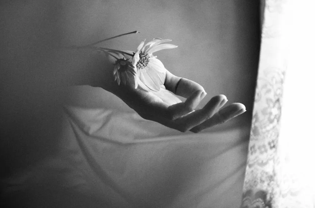 Mano extendida sosteniendo delicadamente una margarita sobre un fondo de telas suaves en una escena en blanco y negro.