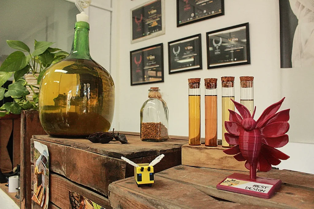 Tienda de Mandragora Hidromel, la primera microbodega familiar especializada en hidromiel en las Islas Baleares, ubicada en el corazón de Mallorca, Inca.