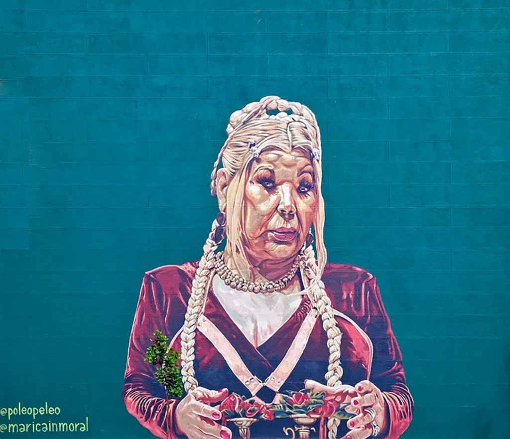 Esta obra de Poleo Painemal es lo más increíble que ha realizado y en lo personal lo más hermoso y significativo que ha pintado en la calle en toda su vida, retratar a su madre trans en este formato, crear un monumento a su persona, celebrarla, reconocerla, demostrarle lo importante que es para ella y toda la comunidad “de trans femeninas, trans masculinos, nobinaries, colitas…” (como dice ella), que su historia siga siendo conocida y que desborde a esta sociedad, que nuestras historias sean contadas por nosotres y que se nos ame en vida.