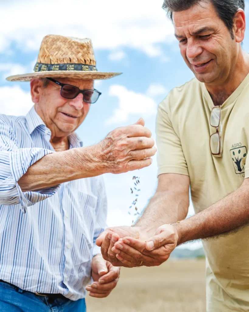 Can Company nació en 1960 en el corazón de Mallorca fruto del trabajo de muchas generaciones de una familia de agricultores mallorquines. Uno de ellos es la producción y comercialización de cereales y harinas obtenidas a partir de las fincas que explota en Mallorca. En el interior de la isla tiene una fábrica que produce su propia semilla certificada de cereal y las harinas y piensos para alimentar su propia cabaña ganadera.