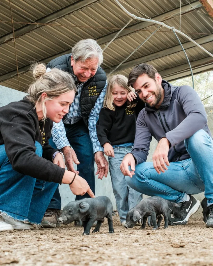 Can Company nació en 1960 en el corazón de Mallorca fruto del trabajo de muchas generaciones de una familia de agricultores mallorquines. Uno de ellos es la producción y comercialización de cereales y harinas obtenidas a partir de las fincas que explota en Mallorca. En el interior de la isla tiene una fábrica que produce su propia semilla certificada de cereal y las harinas y piensos para alimentar su propia cabaña ganadera.