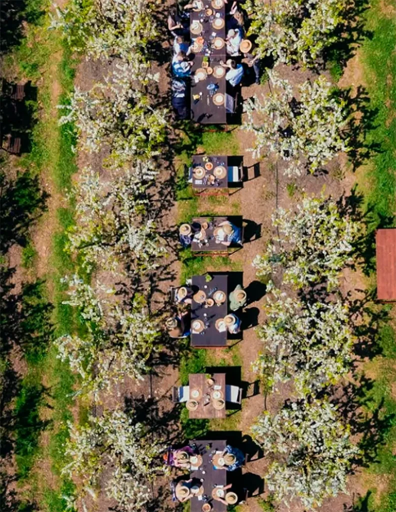 Terracor es un grupo de agricultores consientes que disponen de una botiga de producto local, un restaurante llamado Terragust Degusta rodeado de invernaderos y, campos frutales que recibió en 2021 el premio BBVA que reconoce su labor y su producto sostenible. Mallorca y la sostenibilidad forma parte del ADN y cada año hacen pasos para estar más en sintonía con el ecosistema balear.