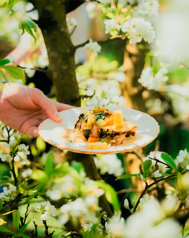 Terracor es un grupo de agricultores conscientes que disponen de una botiga de producto local, un restaurante llamado Terragust Degusta rodeado de invernaderos y, campos frutales que recibió en 2021 el premio BBVA que reconoce su labor y su producto sostenible. Mallorca y la sostenibilidad forma parte del ADN y cada año hacen pasos para estar más en sintonía con el ecosistema balear.