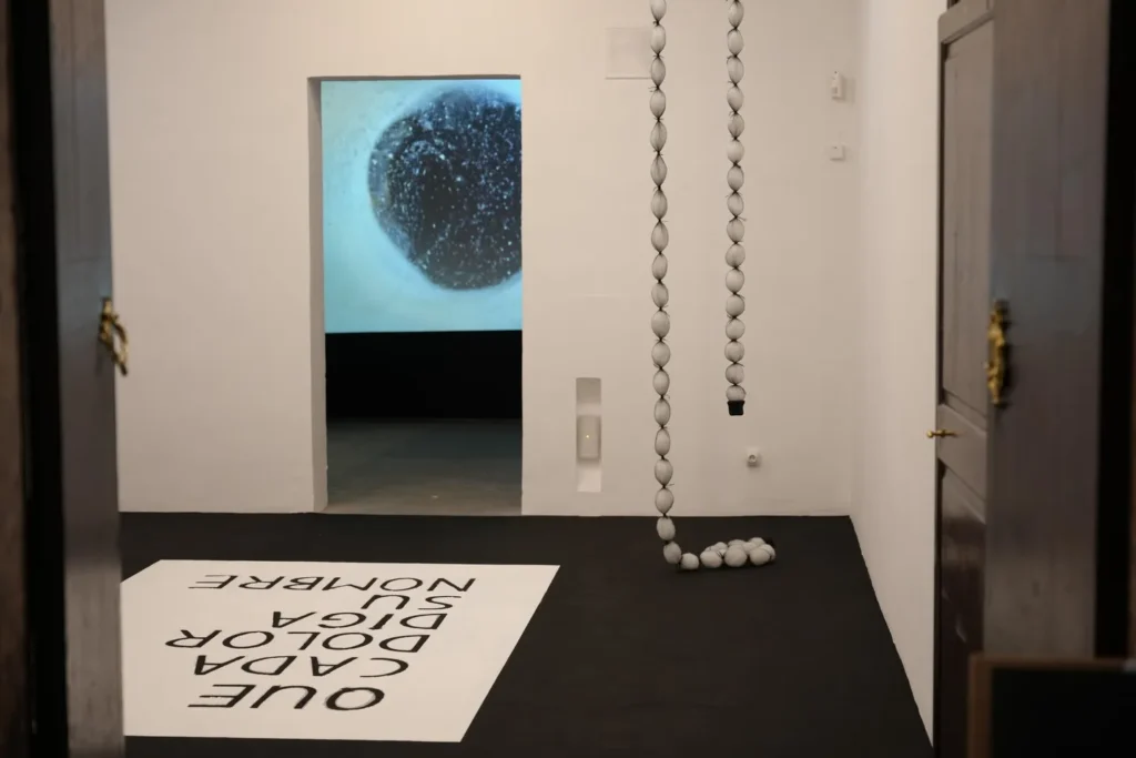 En Lo tengo en la punta de la lengua, Eva Lootz emplea un elemento etnográfico tradicional en Mallorca, la cal, para dos piezas inéditas: Lengua de cal y Que cada dolor diga su nombre. Producida en los hornos de cal durante siglos en Baleares, la cal –utilizada en la argamasa de la construcción, para enjalbegar muros, impermeabilizar charcas y aljibes, purificar el agua, eliminar virus y hongos, prevenir la putrefacción en aguas estancadas