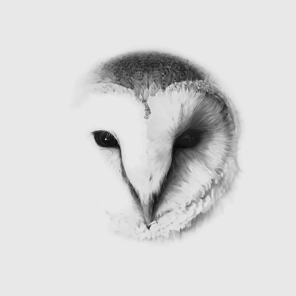 El la?piz grafito sobre papel es el medio de Manu Iranzo en el que se siente ma?s co?modo a la hora de expresarse y representar su obra. La limpieza, la sencillez, la versatilidad, la rapidez en la preparacio?n, el acabado, su leve brillo, el tono negro tiene una luz especial… la calidez, en definitiva.