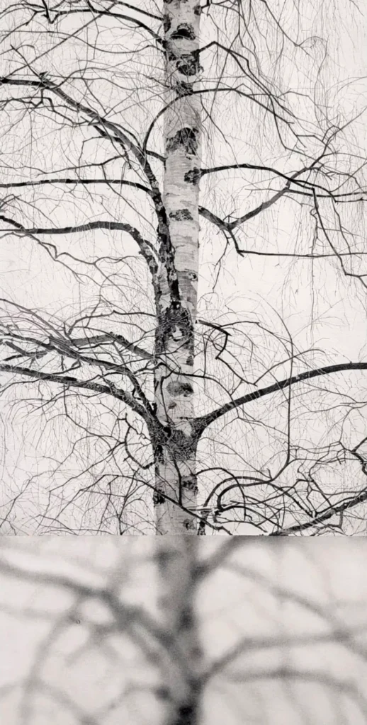 El la?piz grafito sobre papel es el medio de Manu Iranzo en el que se siente ma?s co?modo a la hora de expresarse y representar su obra. La limpieza, la sencillez, la versatilidad, la rapidez en la preparacio?n, el acabado, su leve brillo, el tono negro tiene una luz especial… la calidez, en definitiva.