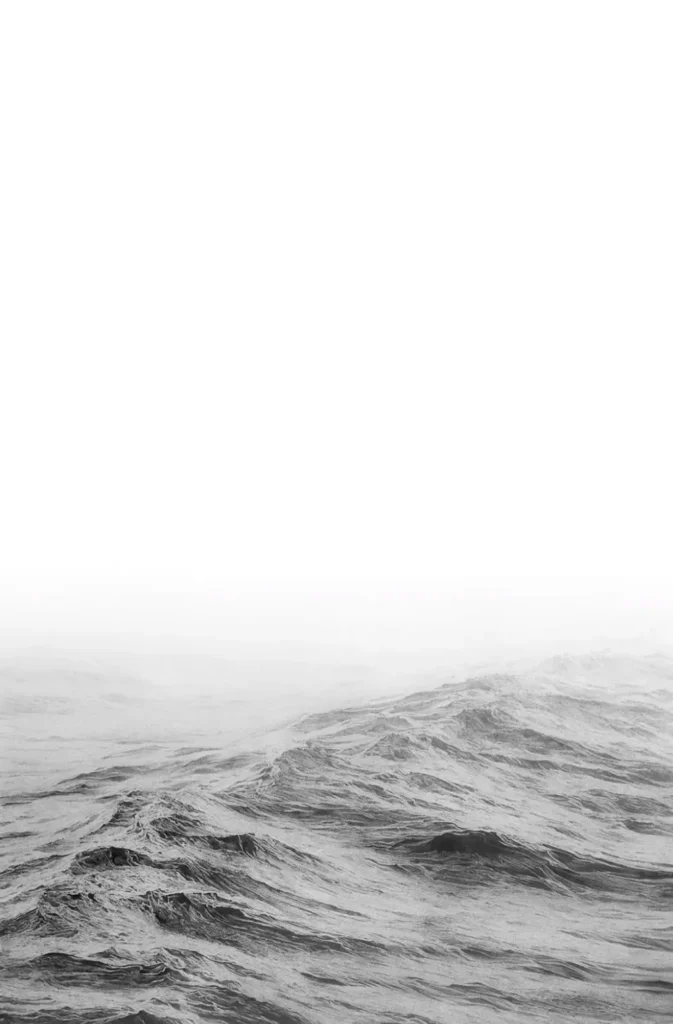 El la?piz grafito sobre papel es el medio de Manu Iranzo en el que se siente ma?s co?modo a la hora de expresarse y representar su obra. La limpieza, la sencillez, la versatilidad, la rapidez en la preparacio?n, el acabado, su leve brillo, el tono negro tiene una luz especial… la calidez, en definitiva.