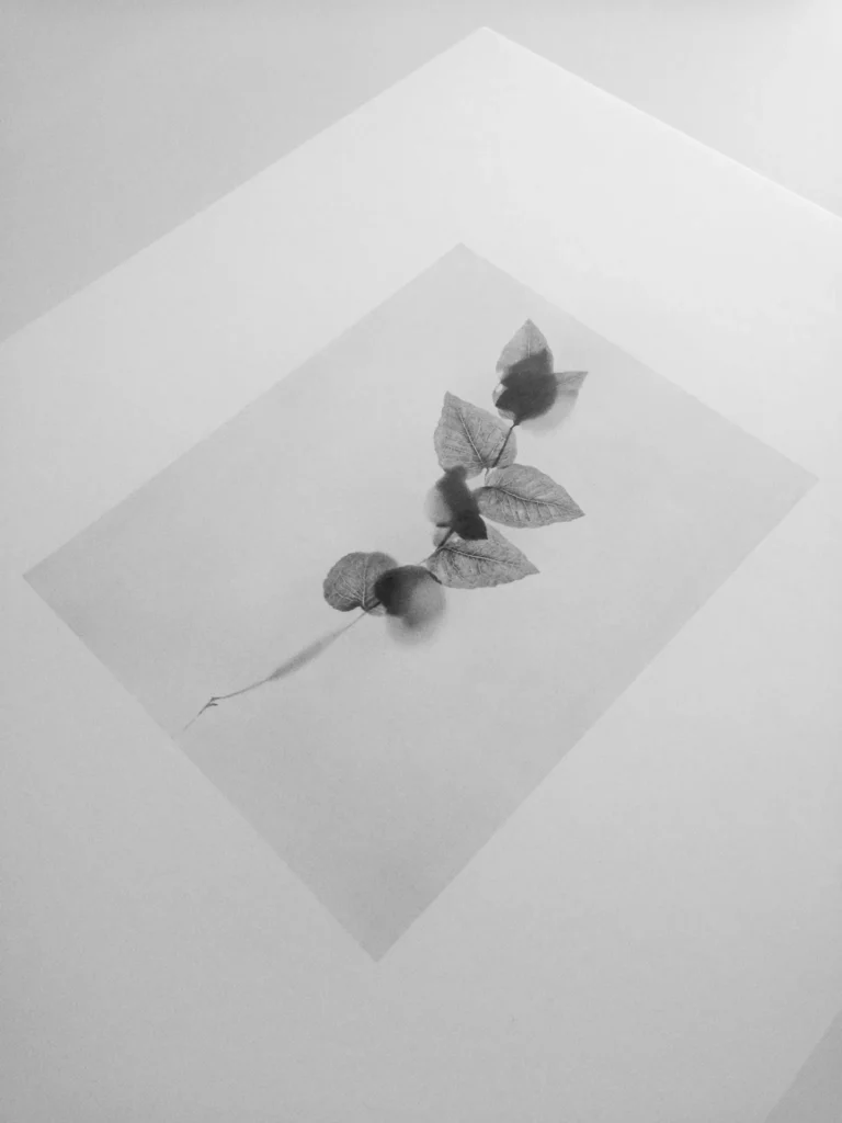 El la?piz grafito sobre papel es el medio de Manu Iranzo en el que se siente ma?s co?modo a la hora de expresarse y representar su obra. La limpieza, la sencillez, la versatilidad, la rapidez en la preparacio?n, el acabado, su leve brillo, el tono negro tiene una luz especial… la calidez, en definitiva.