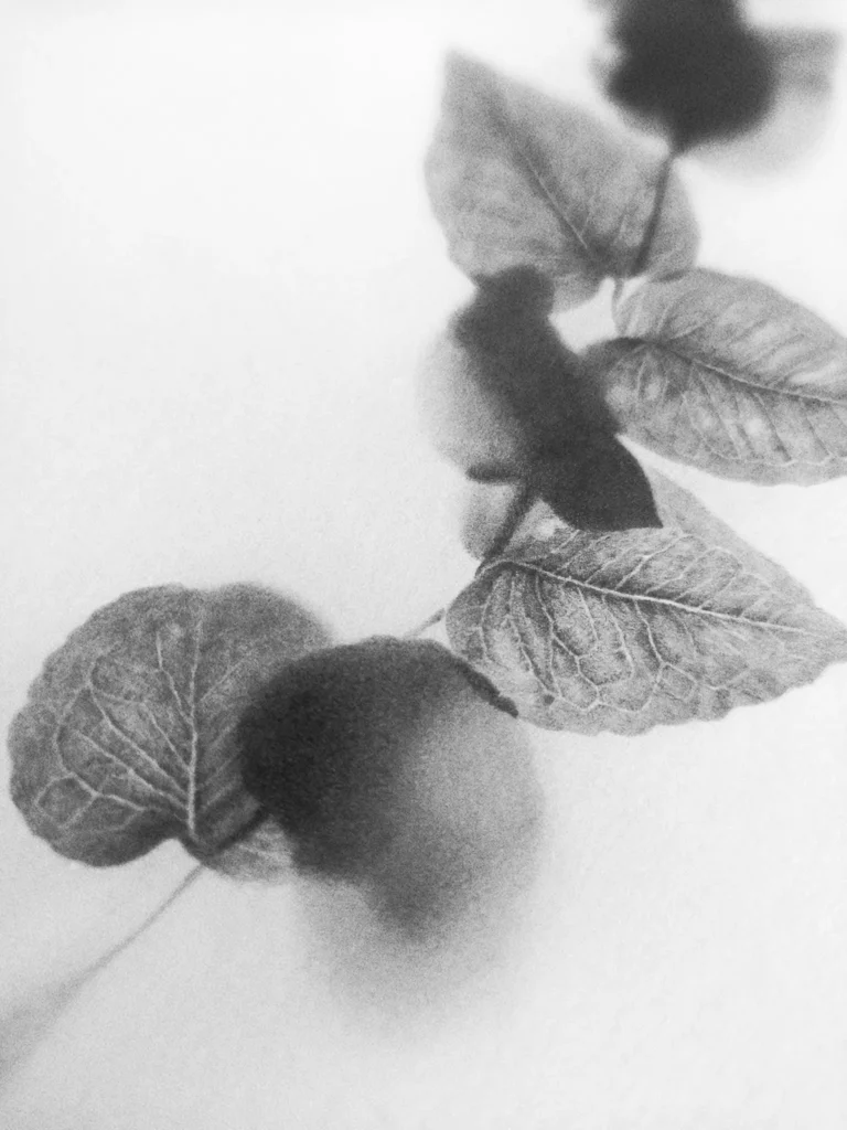 Licenciado en Bellas Artes por la Facultad de Bellas Artes de San Carlos y con un Máster Universitario en Producción Artística en la Universidad Politécnica de Valencia, es un artista multidisciplinar que desarrolla su actividad entre los campos del diseño y el dibujo. Su obra se centra en una cuidada reflexión sobre la naturaleza. Desarrolla experiencias creativas en papel y grafito, a caballo entre la realidad y la ficción, imágenes que flotan en la visión y en la mente de quien mira.