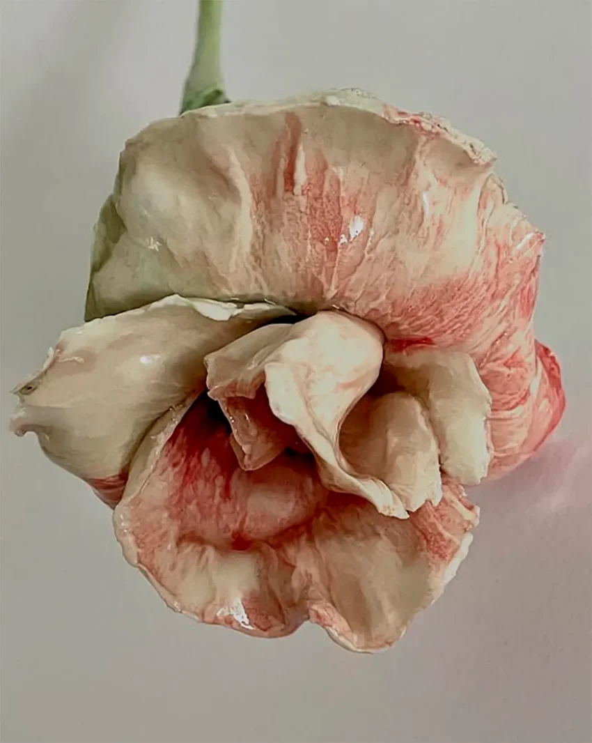 Peggy Wauters nacida en 1968 en Aalst, desarrolla una práctica que oscila entre escultura, pintura e instalación. Su trabajo se sitúa en el límite entre belleza y extrañez, con afinidad por lo grotesco, lo absurdo y lo surreal.