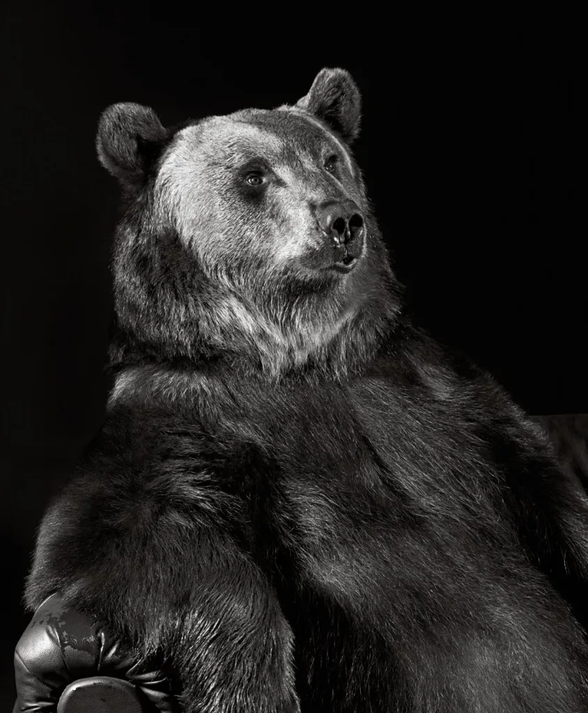 Walter Schels creció rodeado de animales. Como él mismo afirma, esto marcó su relación con los animales y su enfoque fotográfico. Los primeros retratos animales de Schels fueron realizados a mediados de la década de 1980